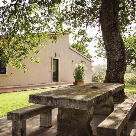 Country House Poggio Aione Guest House Catabbio ภายนอก รูปภาพ
