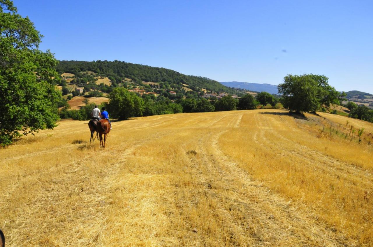 Country House Poggio Aione Guest House Catabbio ภายนอก รูปภาพ