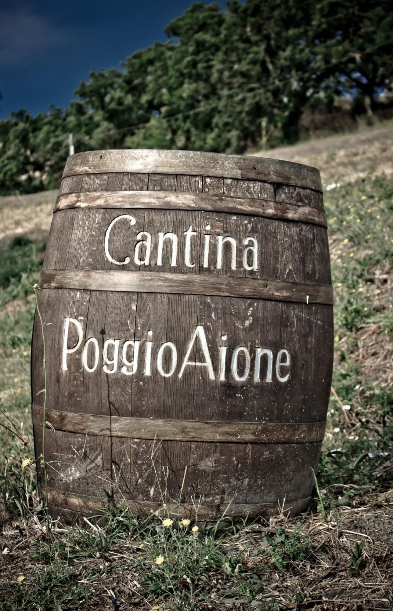 Country House Poggio Aione Guest House Catabbio ภายนอก รูปภาพ