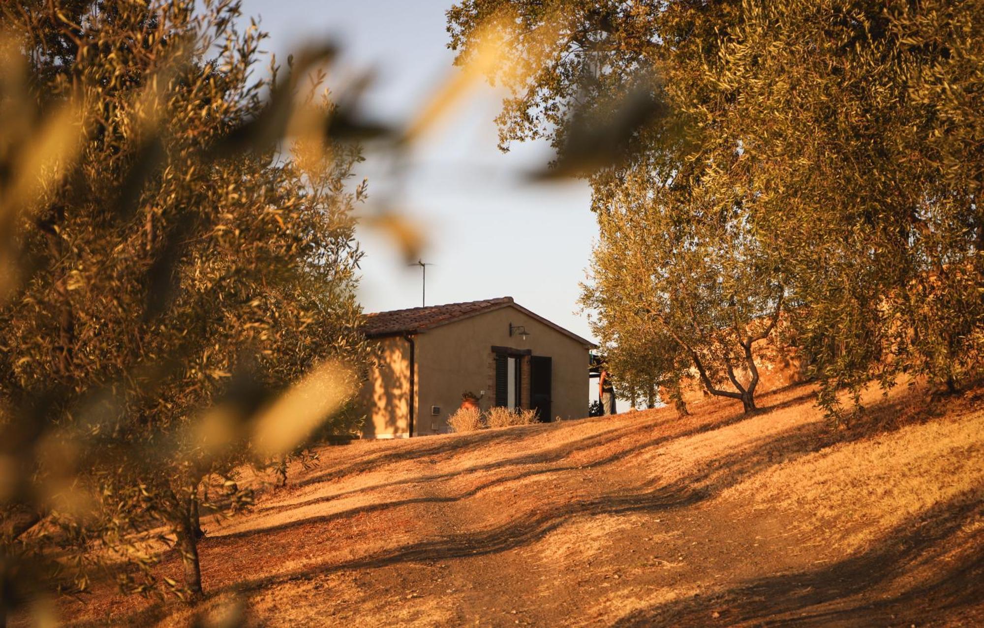 Country House Poggio Aione Guest House Catabbio ภายนอก รูปภาพ