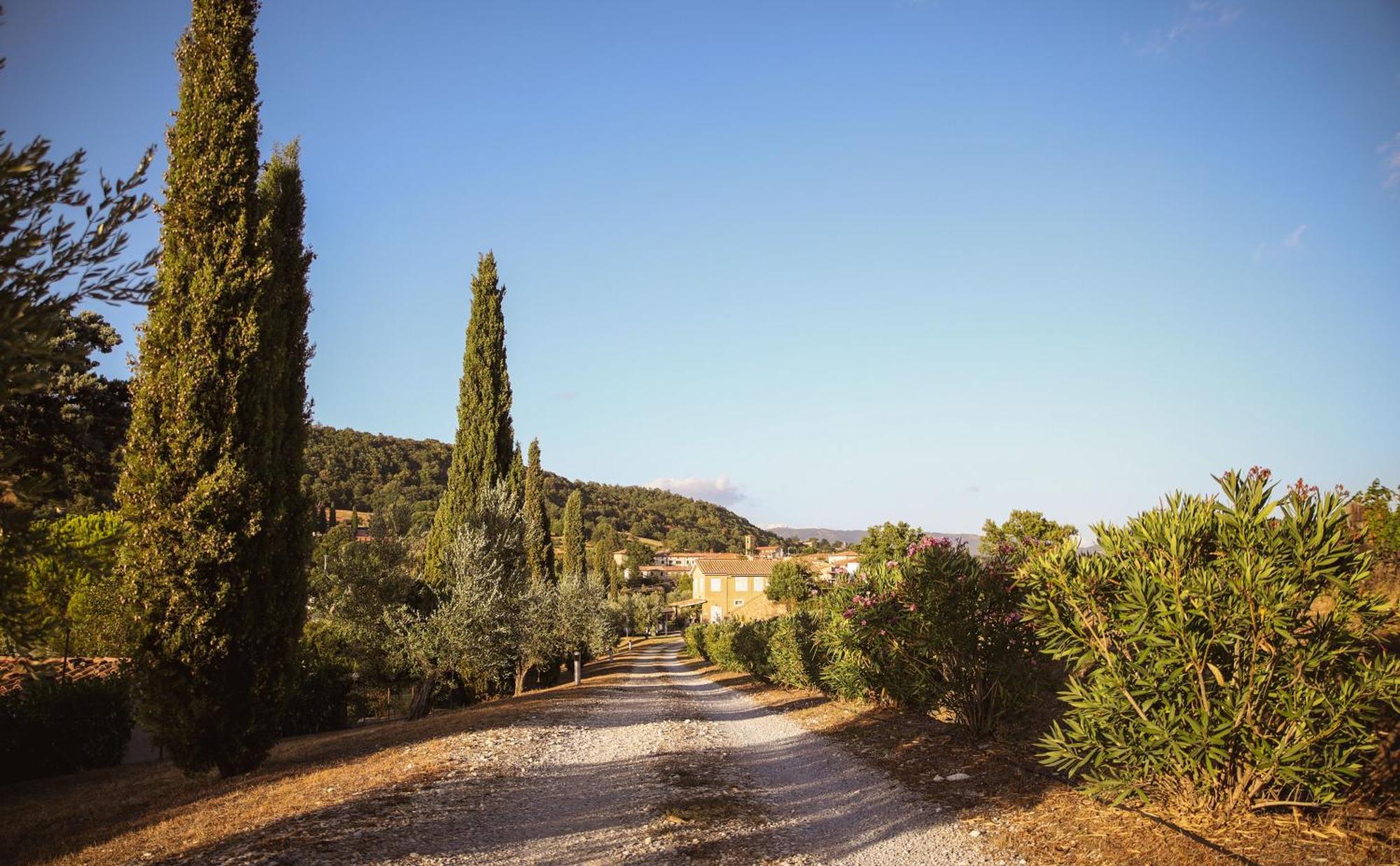 Country House Poggio Aione Guest House Catabbio ภายนอก รูปภาพ