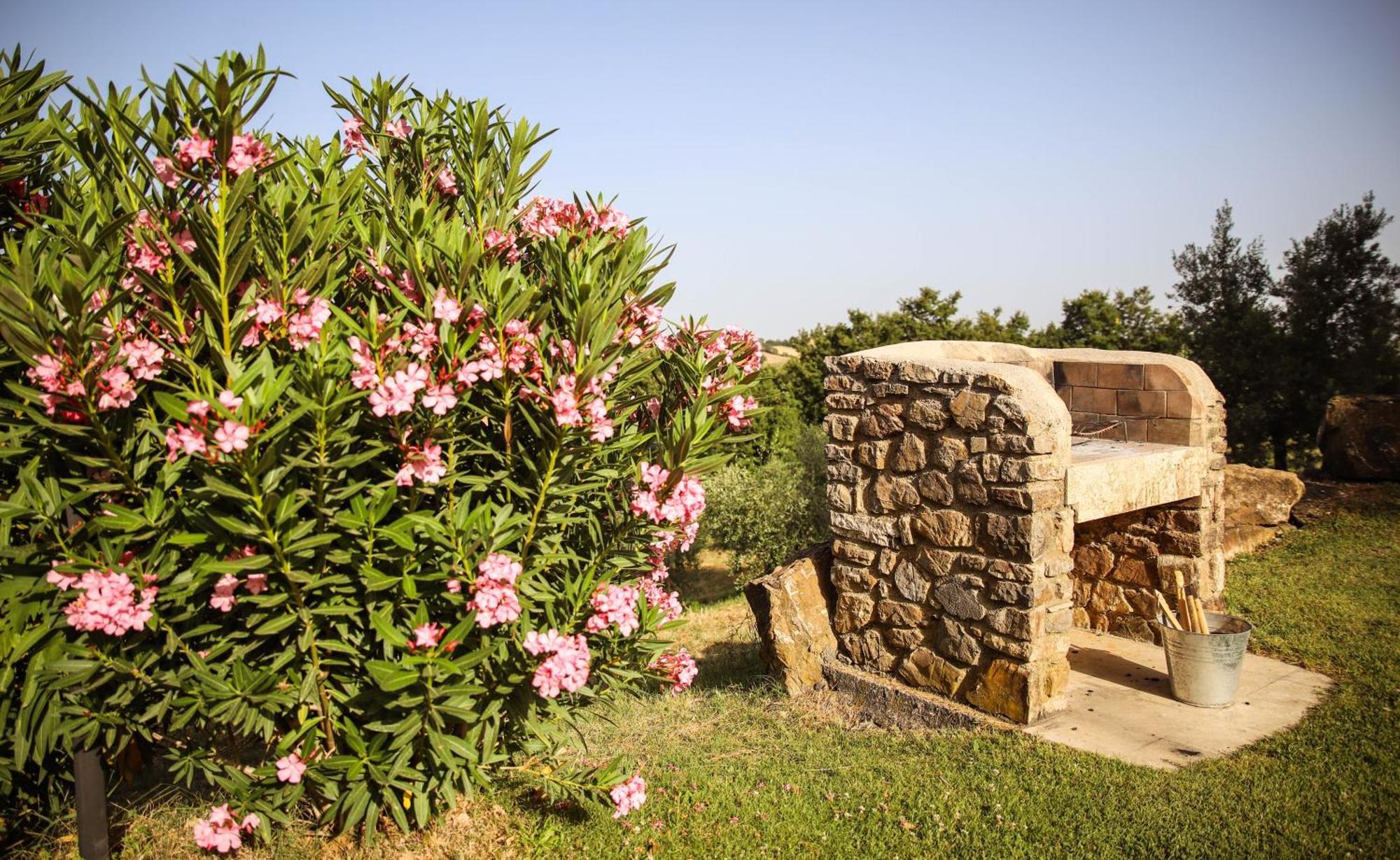 Country House Poggio Aione Guest House Catabbio ภายนอก รูปภาพ